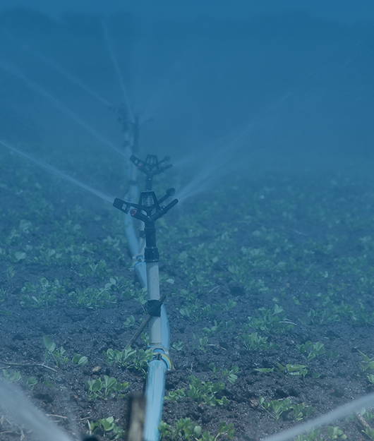 土壤養分檢測儀是農業指導的重要工具之一